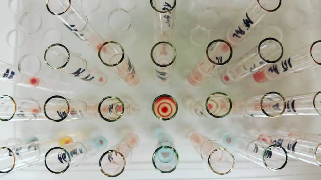 Overhead shot of lab vials showing colored liquids inside