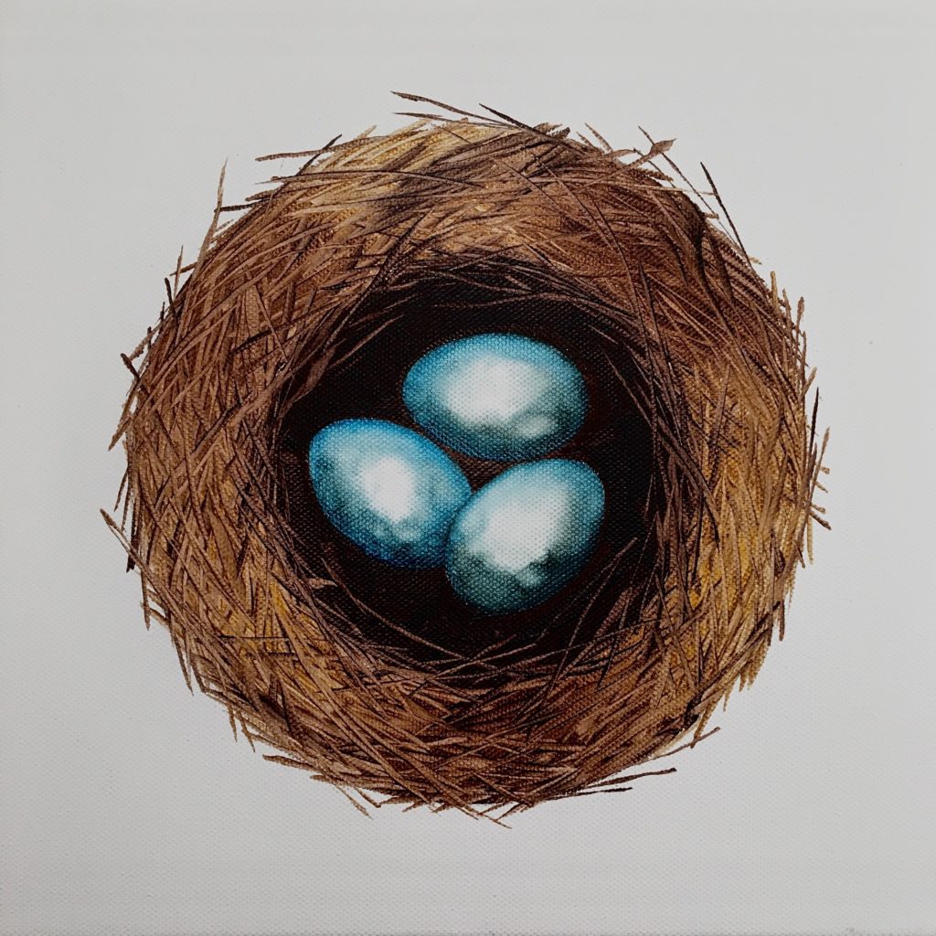 theorem painting of eggs in a nest