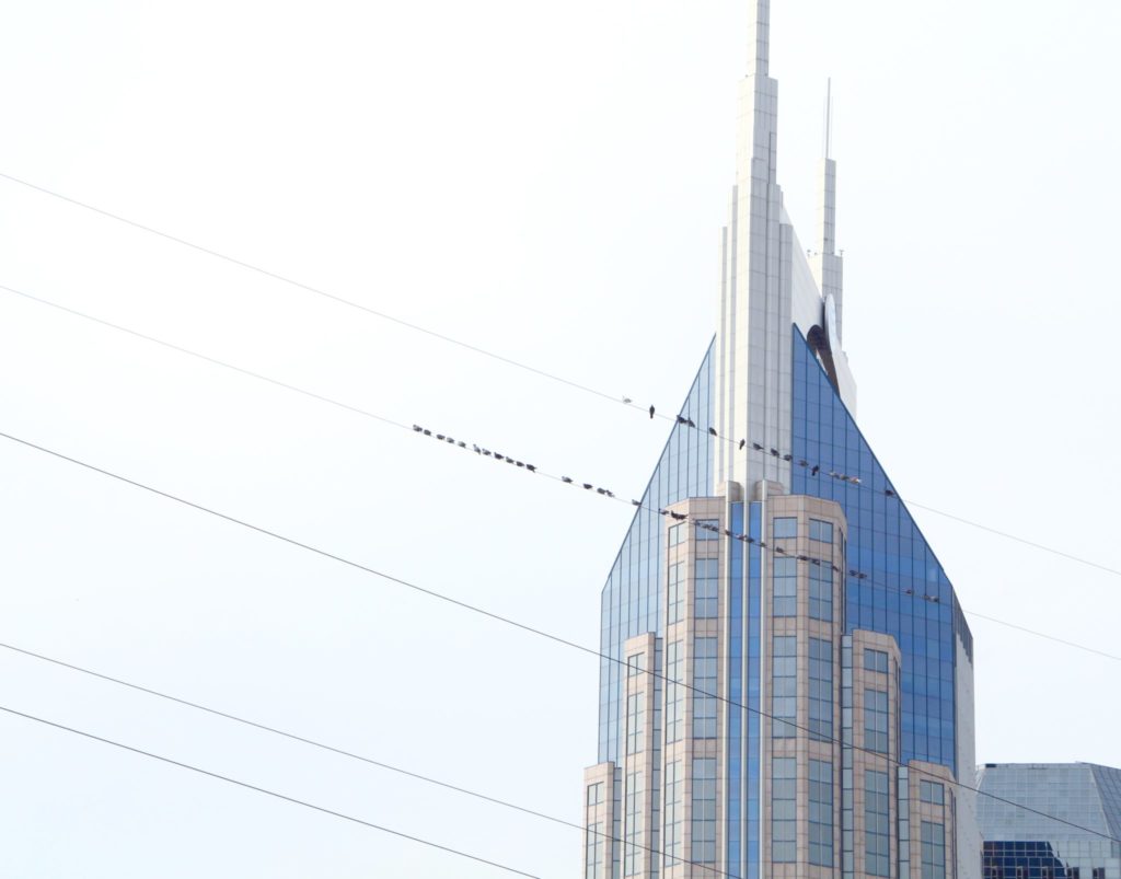 Image of birds sitting on power lines with skyscraper in the background
