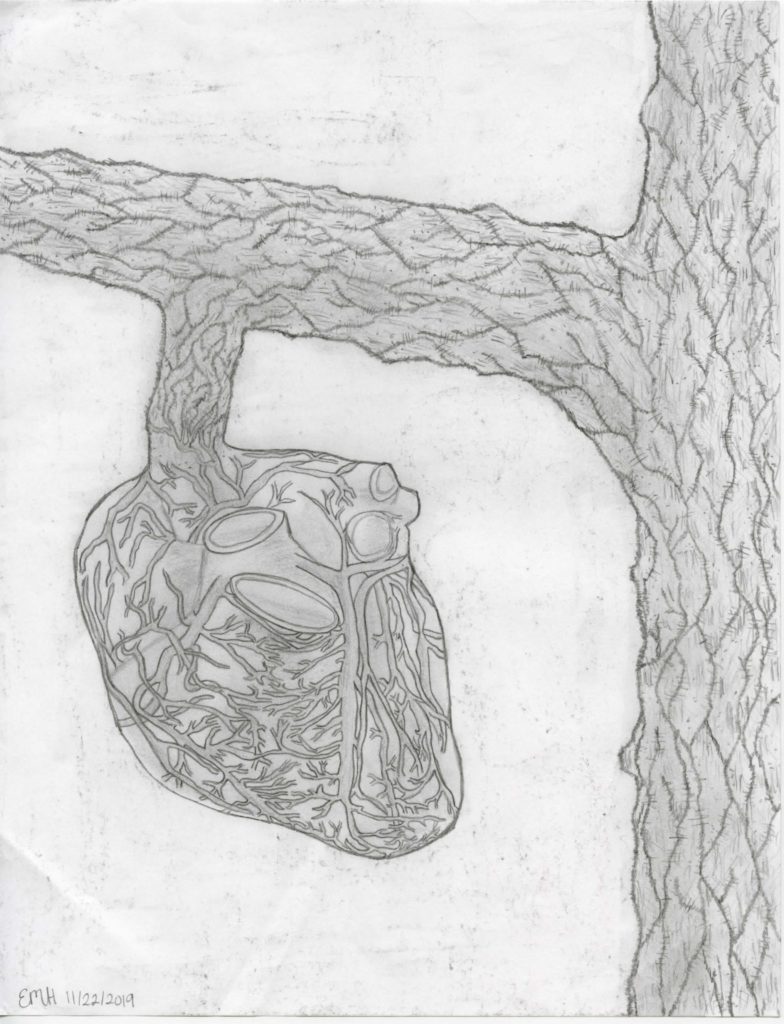 Drawing of a heart growing from a tree branch