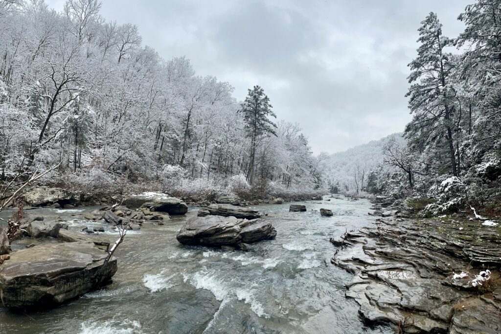Image of a rocky creek in winter with snow-covered trees on each side