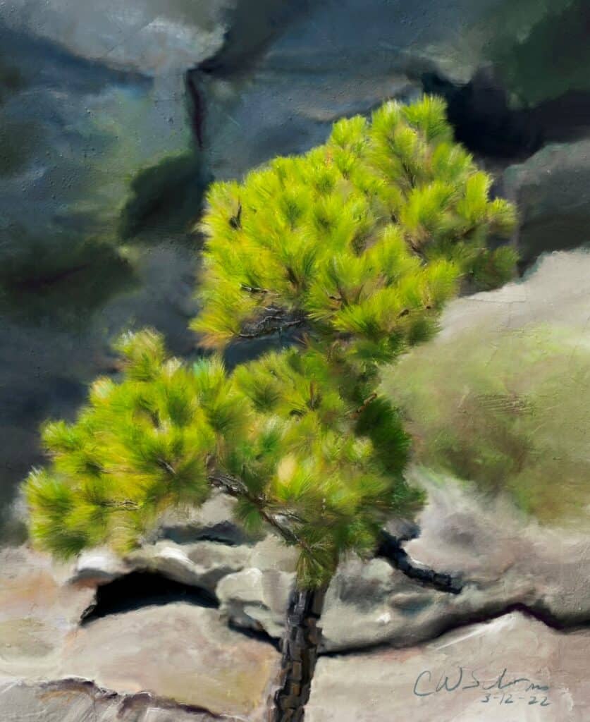 Impressionistic image of a small pine tree amongst mountain rocks.