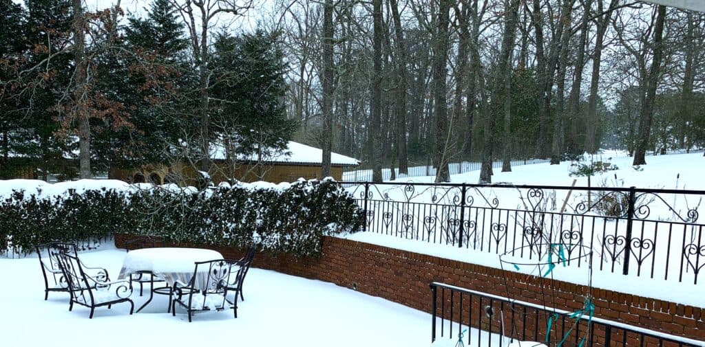 a snowy backyard