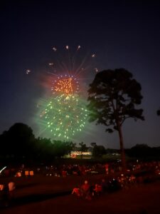 fireworks exploding over a crowd in a park