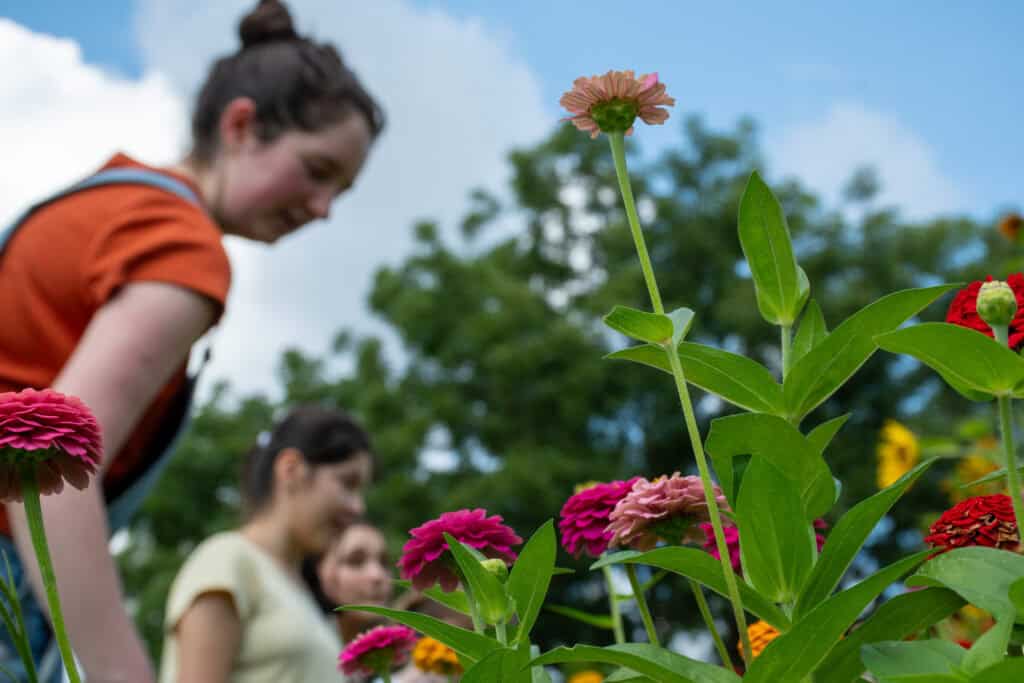 Apple Seeds students tending to the garden. 