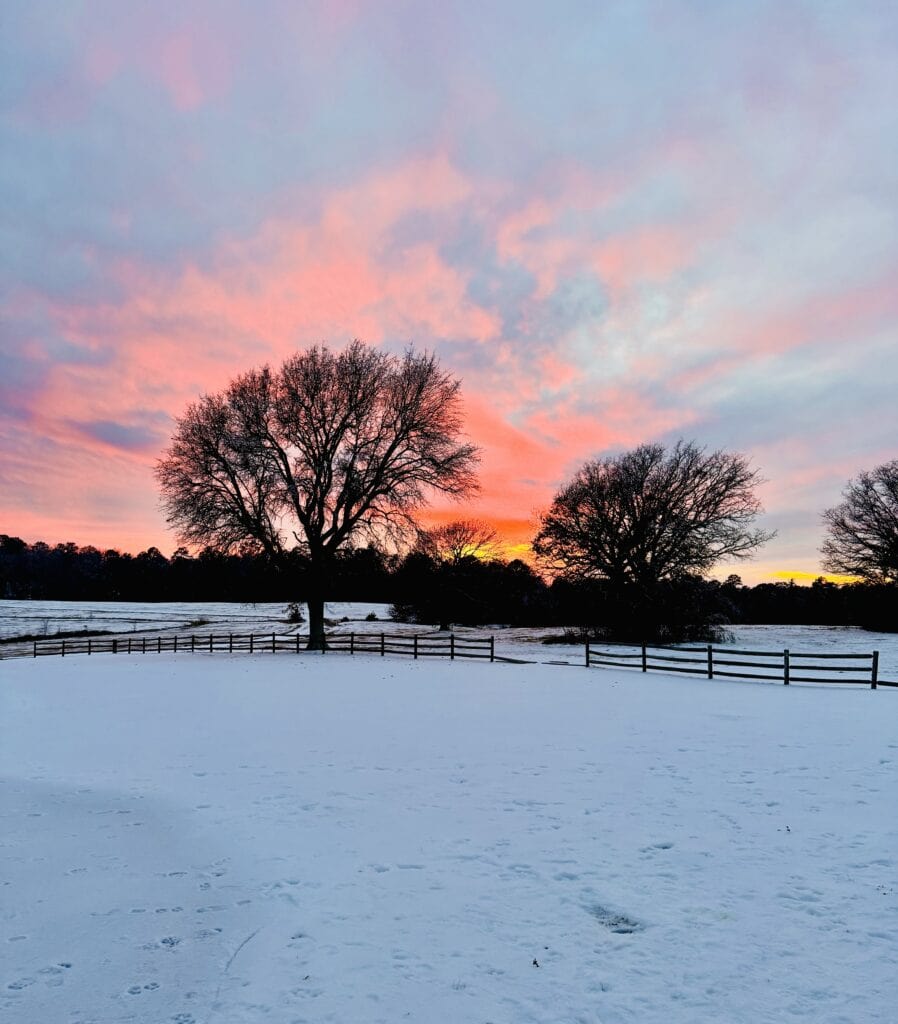 a sunset on a winter day