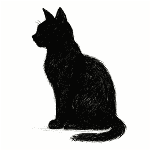 black cat sitting