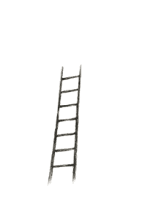 ladder